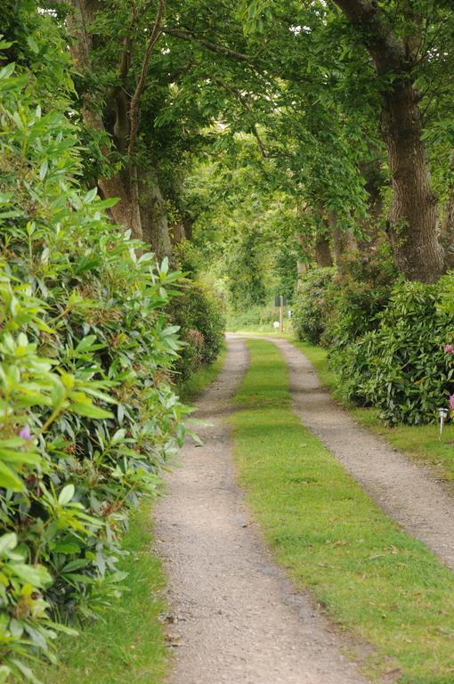La Ferme De Kerraoul Bed & Breakfast Combrit Ngoại thất bức ảnh