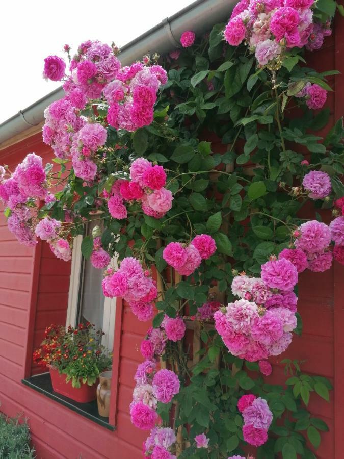 La Ferme De Kerraoul Bed & Breakfast Combrit Ngoại thất bức ảnh